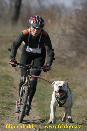 Hustopece 08 - 152.JPG